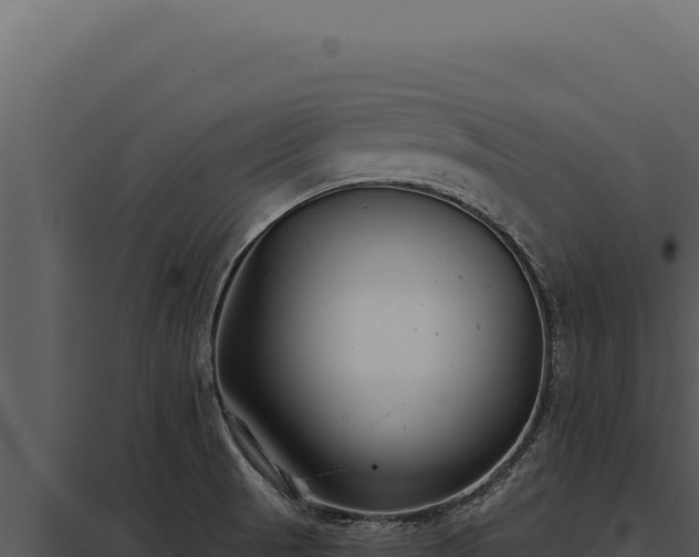 X0000097971521200804011709