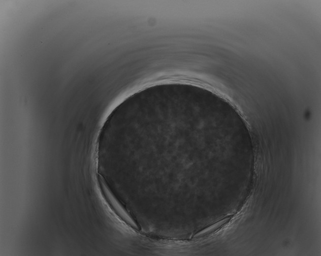 X0000097971522200804011709