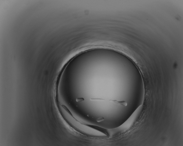 X0000097971523200804011709