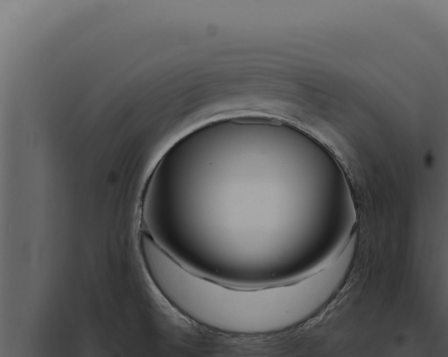 X0000097971524200804011709