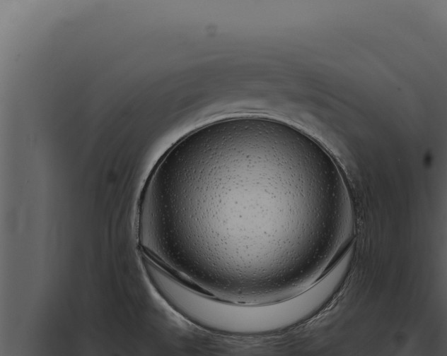 X0000097971527200804011709