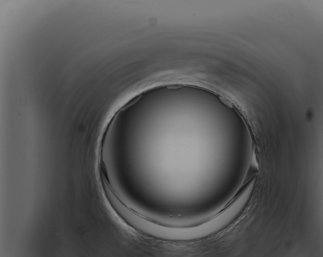 X0000097971528200804011709