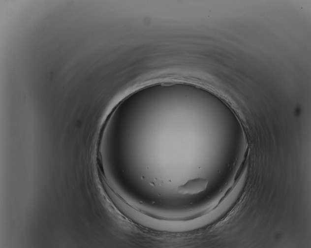 X0000097971530200804011709