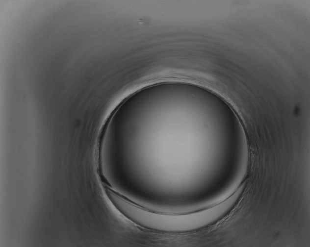 X0000097971531200804011709