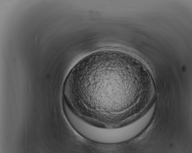 X0000097971533200804011709