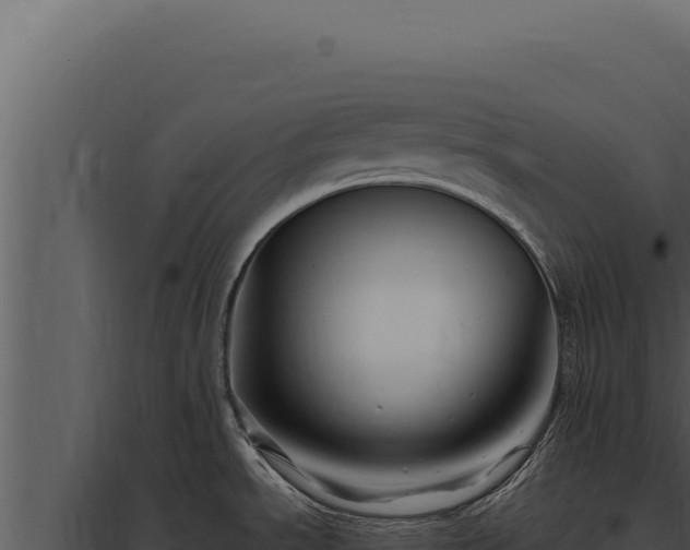X0000097971534200804011709
