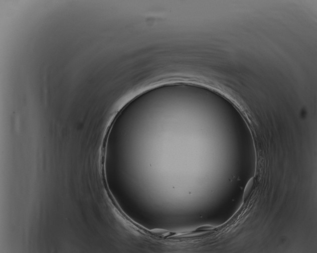 X0000097971535200804011709