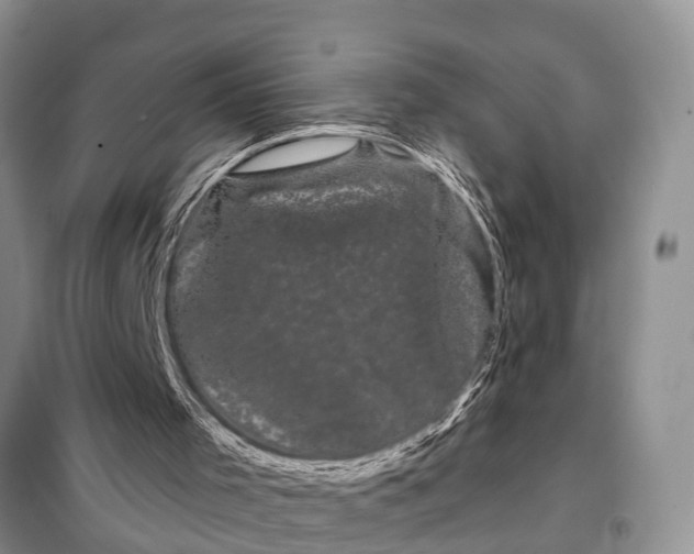 X0000097970001200804071110