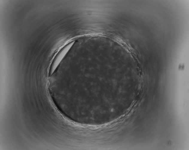 X0000097970002200804071110