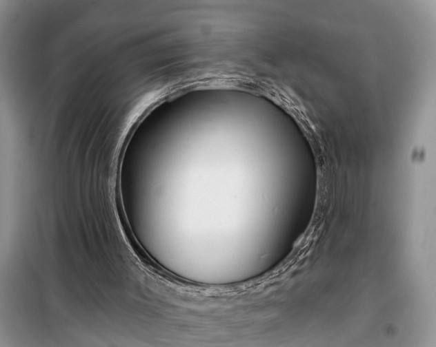 X0000097970003200804071110