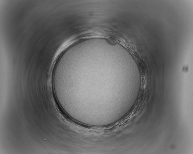 X0000097970004200804071110