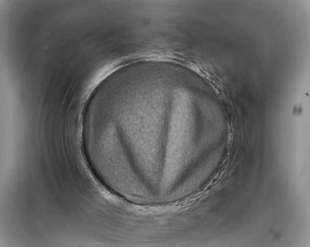 X0000097970005200804071110