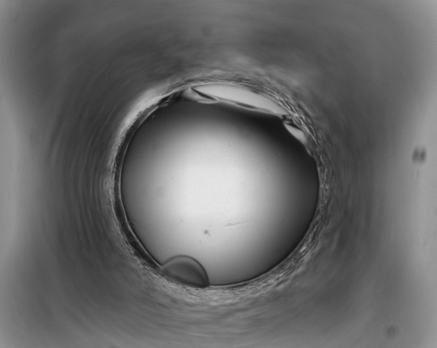 X0000097970006200804071110