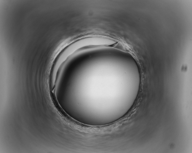 X0000097970007200804071110