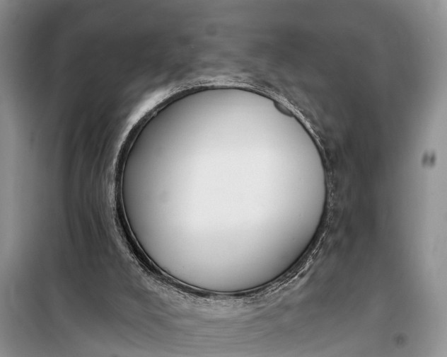 X0000097970008200804071110
