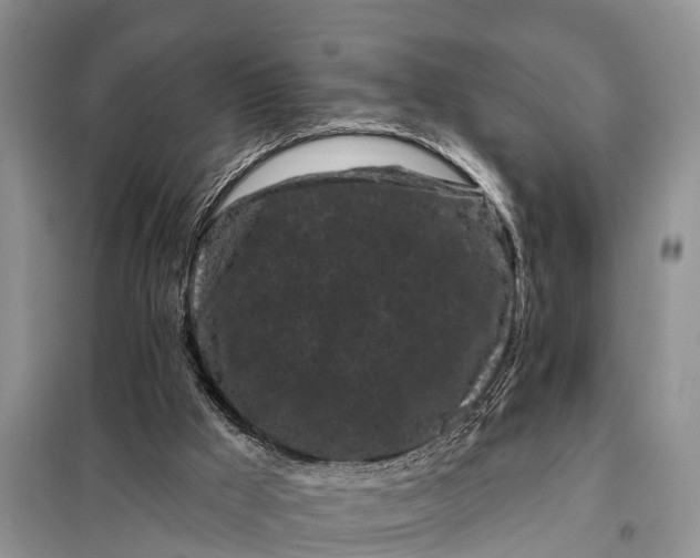 X0000097970009200804071110