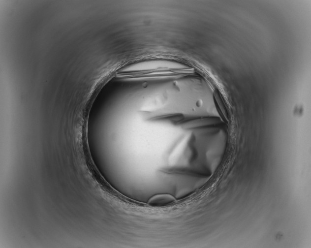 X0000097970010200804071110