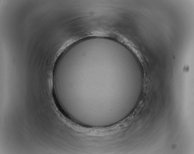 X0000097970011200804071110