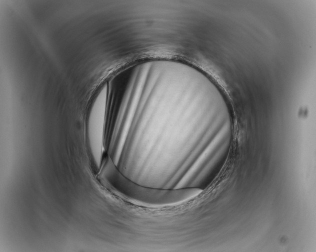 X0000097970013200804071110