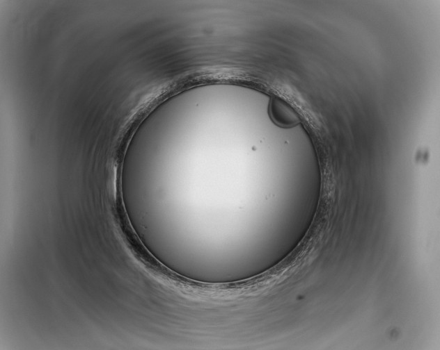 X0000097970014200804071110