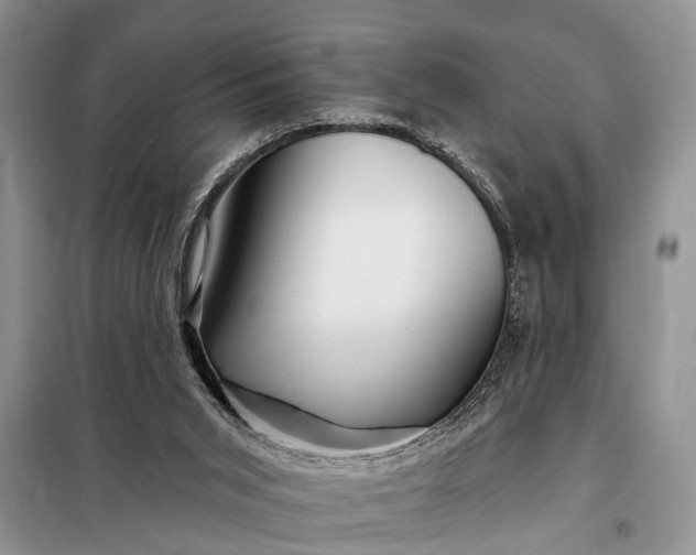 X0000097970015200804071110