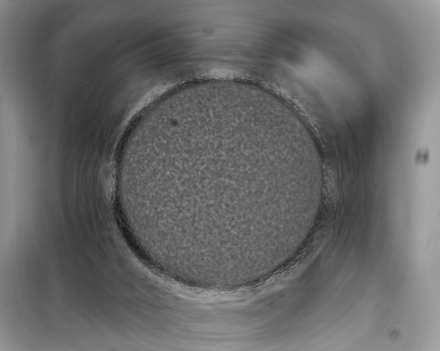 X0000097970016200804071110
