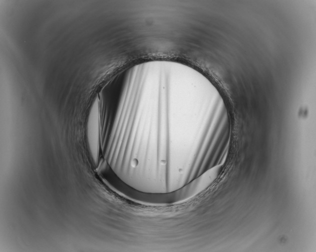 X0000097970017200804071110