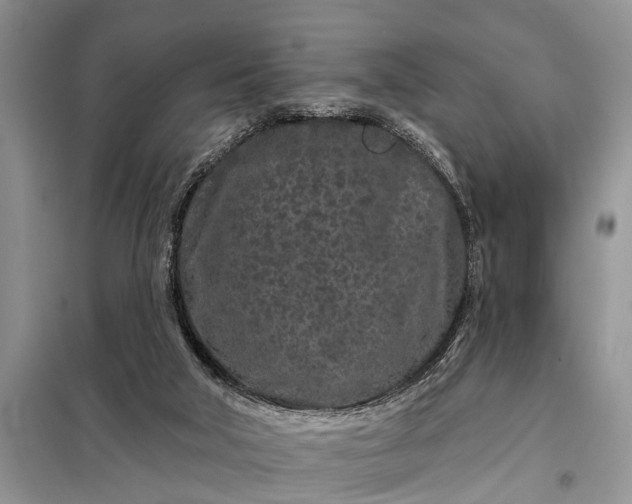 X0000097970018200804071110