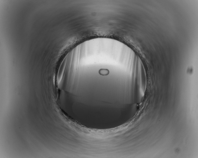 X0000097970019200804071110
