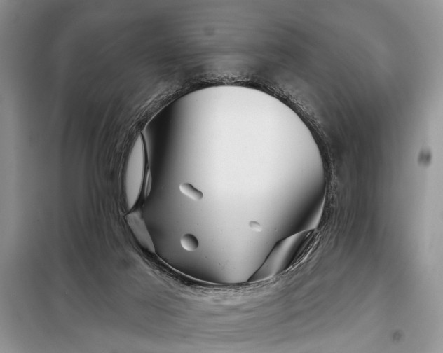 X0000097970021200804071110