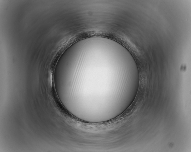 X0000097970022200804071110