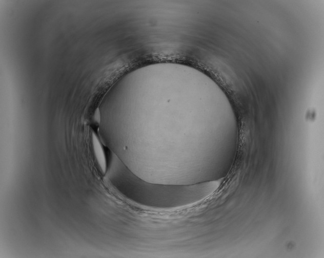 X0000097970025200804071110