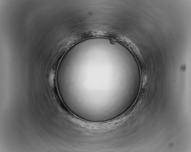 X0000097970026200804071110