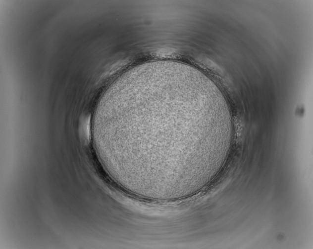 X0000097970028200804071110