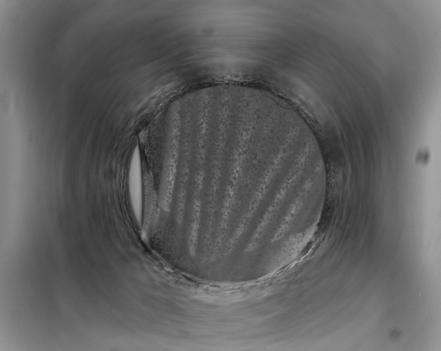 X0000097970029200804071110