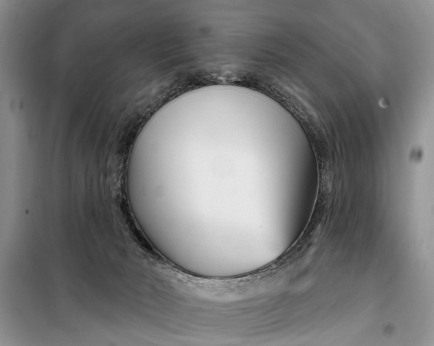 X0000097970030200804071110