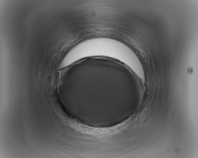 X0000097970031200804071110