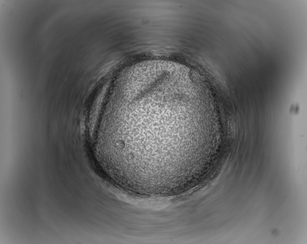 X0000097970032200804071110