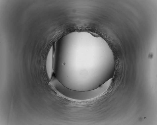 X0000097970033200804071110