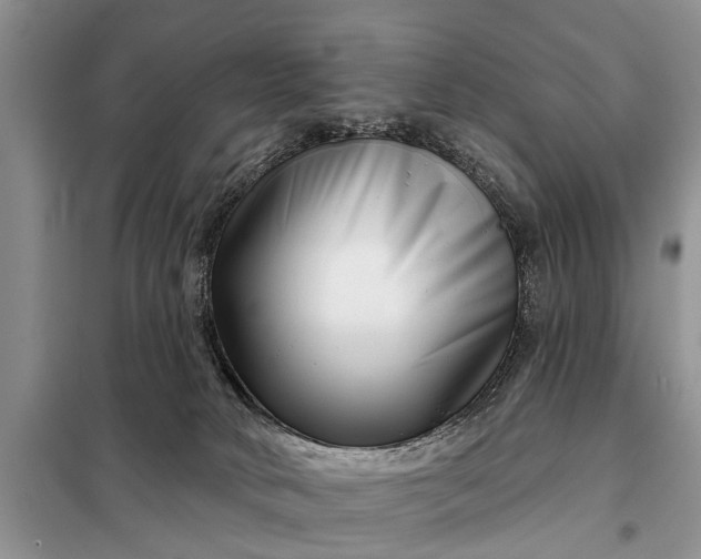 X0000097970034200804071110