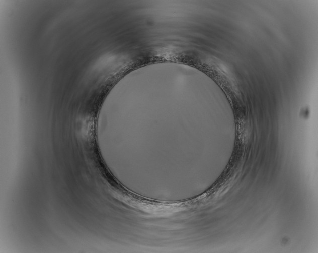 X0000097970036200804071110