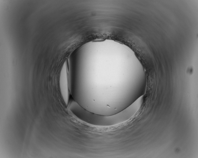 X0000097970037200804071110