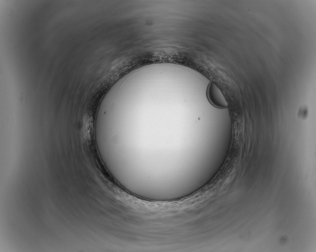 X0000097970038200804071110