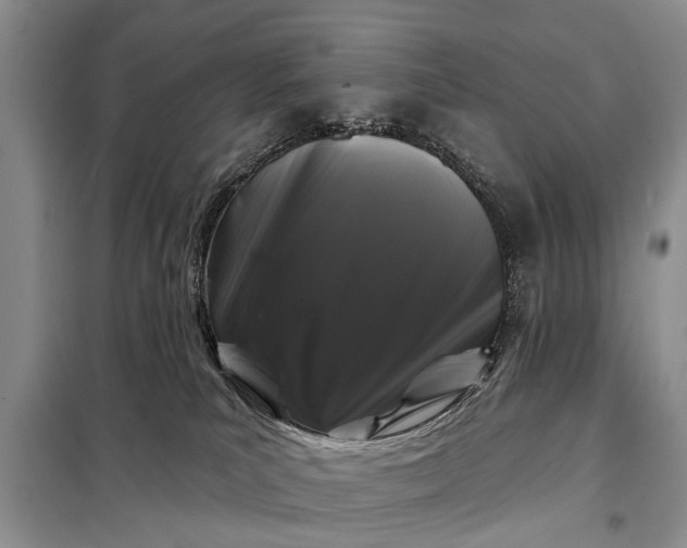 X0000097970039200804071110