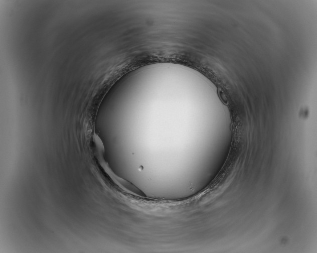 X0000097970040200804071110