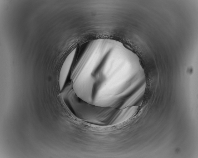 X0000097970041200804071110