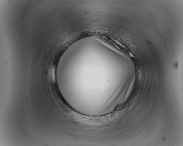 X0000097970042200804071110