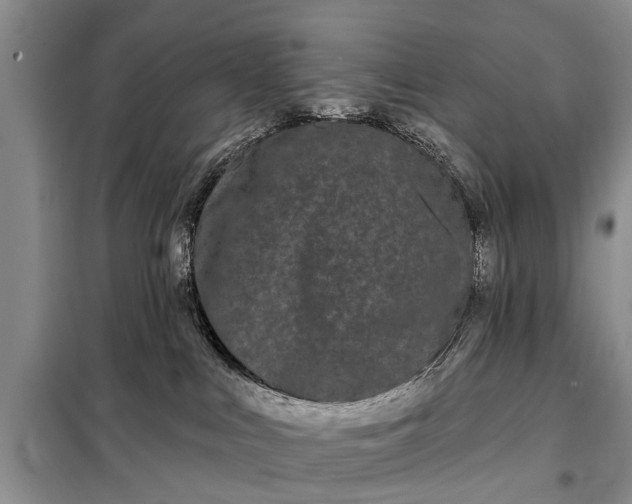 X0000097970043200804071110