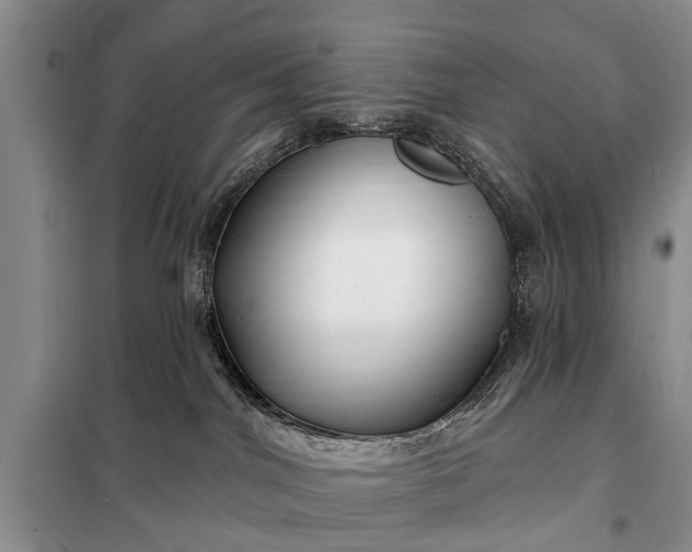 X0000097970044200804071110