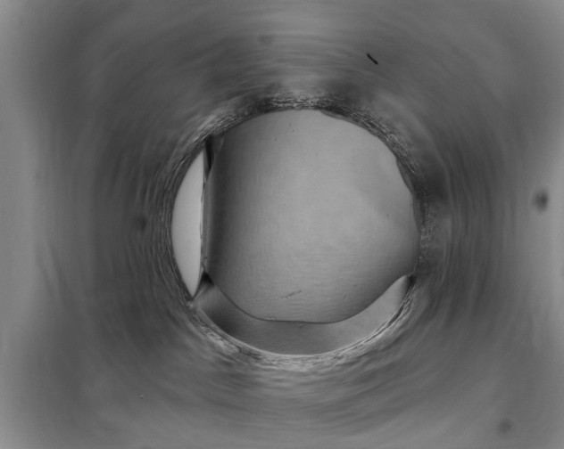 X0000097970045200804071110